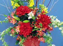 アレンジ 105 ￥5,000(税抜)