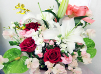 アレンジ 107 ￥3,000(税抜)