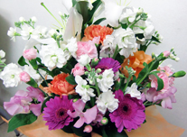 アレンジ 108 ￥3,000(税抜)