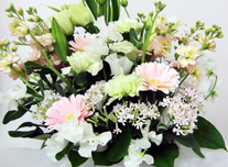 お供え 111 ￥3,000(税抜)