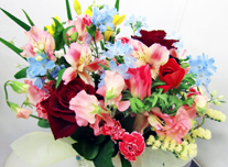 アレンジ 116 ￥3,000(税抜)