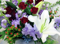 お供え 117 ￥3,000(税抜)