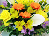 アレンジ 120 ￥3,000(税抜)