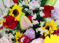 アレンジ 122 ￥3,000(税抜)