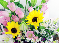 アレンジ 123 ￥3,000(税抜)