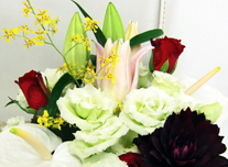 アレンジ 127 ￥4,000(税抜)