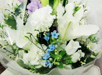 お供え 130 ￥5,000(税抜)