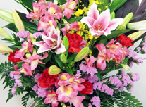 アレンジ 141 ￥8,000(税抜)