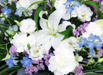 お供え 143 ￥5,000(税抜)