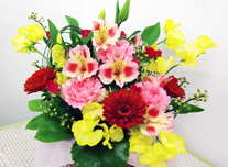 アレンジ 156 ￥3,000(税抜)