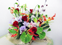 アレンジ 158 ￥5,000(税抜)