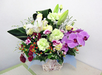 お供え 160 ￥5,000(税抜)