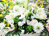 アレンジ 167 ￥10,000(税抜)