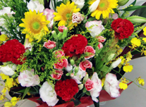 アレンジ 170 ￥6,000(税抜)