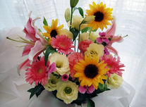 アレンジ 173 ￥3,000(税抜)