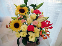 アレンジ 175 ￥3,000(税抜)