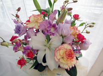 アレンジ 178 ￥3,000(税抜)