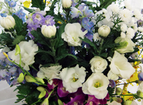 お供え 181 ￥5,000(税抜)