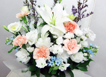 お供え 182 ￥5,000(税抜)