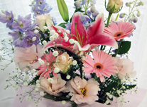 アレンジ 183 ￥3,000(税抜)