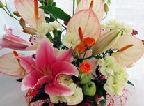 アレンジ 186 ￥3,000(税抜)