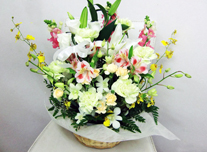 お供え 199 ￥5,000(税抜)