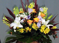 いけ込み 206 ￥10,000(税抜)