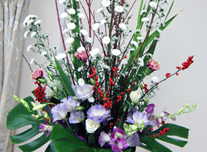 いけ込み 208 ￥3,000(税抜)