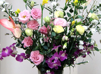 いけ込み 211 ￥3,000(税抜)