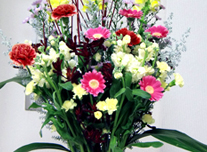 いけ込み 212 ￥3,000(税抜)