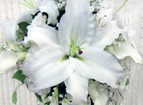 ブーケ 213 ￥20,000(税抜)