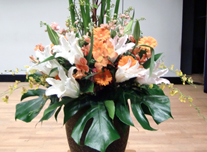 いけ込み 217 ￥10,000(税抜)