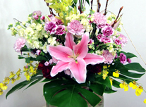 いけ込み 220 ￥10,000(税抜)