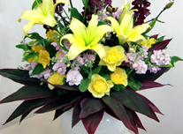 いけ込み 221 ￥10,000(税抜)