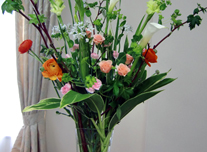 いけ込み 223 ￥3,000(税抜)