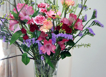 いけ込み 224 ￥3,000(税抜)