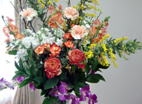 いけ込み 227 ￥3,000(税抜)