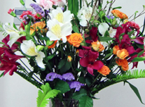 いけ込み 235 ￥3,000(税抜)