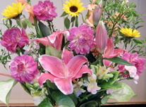 いけ込み 236 ￥7,000(税抜)