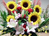 いけ込み 239 ￥10,000(税抜)