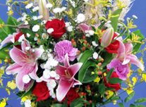 つぼ花 241 ￥8,000(税抜)