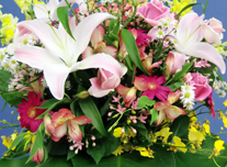 つぼ花 242 ￥8,000(税抜)