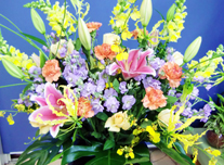 つぼ花 248 ￥8,000(税抜)