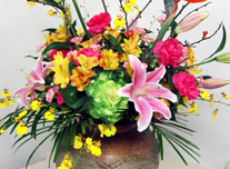 つぼ花 251 ￥8,000(税抜)