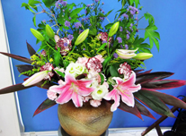 つぼ花 257 ￥8,000(税抜)