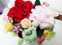 ブリサーブド 262 ￥7,000(税抜)