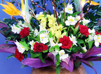 つぼ花 269 ￥10,000(税抜)