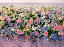 その他 271 ￥応相談