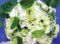 ブーケ 275 ￥19,000(税抜)