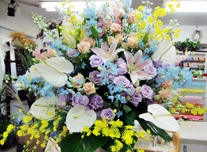 その他 287 ￥20,000(税抜)